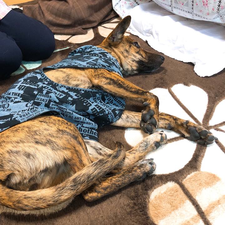 3fa5b837 8176 40c1 9194 66f7910f054f 1577877973177