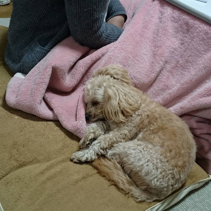 3fa5bd6f 6cd8 4409 8345 841b08bf5b1f 1515858026756