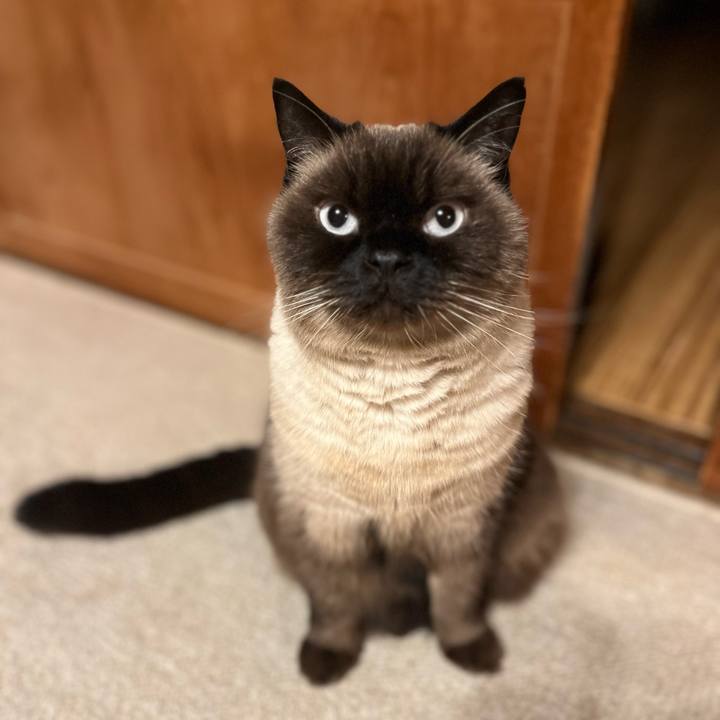 3fa5d7bf c402 41b5 9588 33bb2d717209 1733405330329