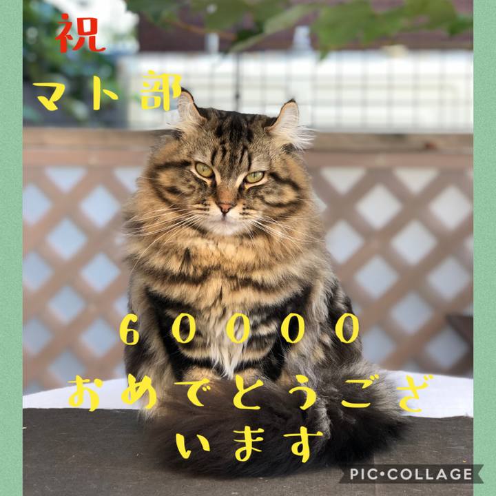 3fa5dca9 309f 484b bf27 4a0f92bf1e5d 1578553533675