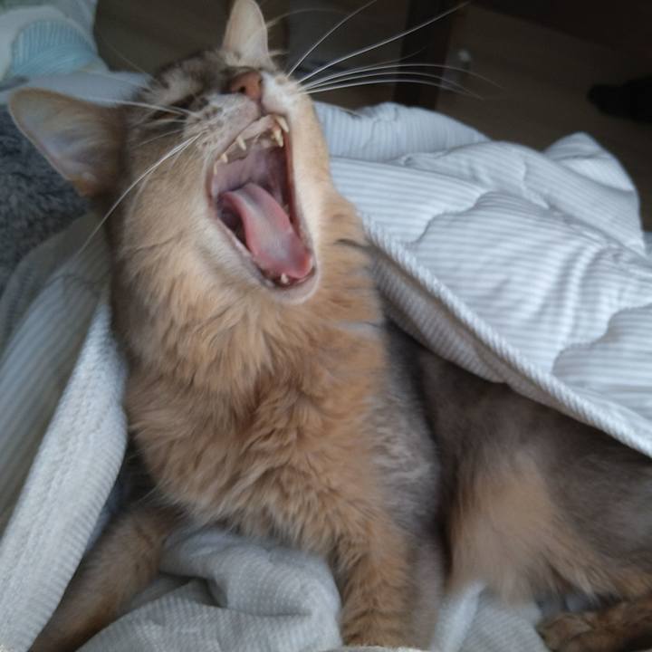 3fa5e95c 6917 48ab 82c9 4f0fbb65e2f0 1598429776372