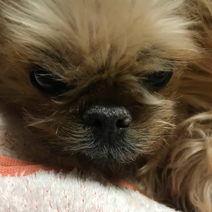 3fa60e48 458a 4513 a64e eb794b39159a 1513852524072