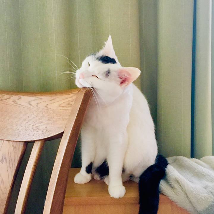 3fa62487 159d 446a a4b2 44ba3026b6a8 1559357601984