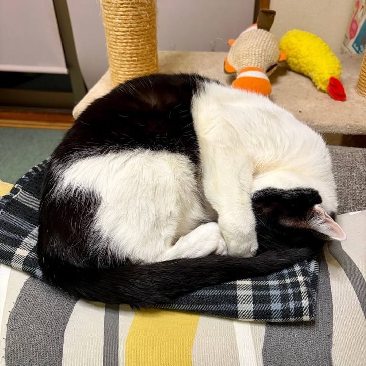 3fa677da 8a3a 4b66 8e29 83352287ea84 1767971218388