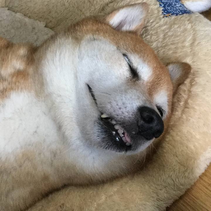 3fa67911 08c1 48f9 b36c a1e1d60b1cd4 1624233145157