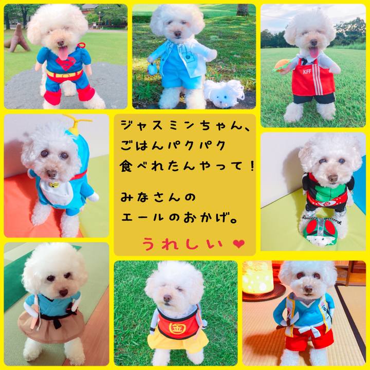 3fa69d71 619b 406e bd43 c4f77419f943 1509800575822