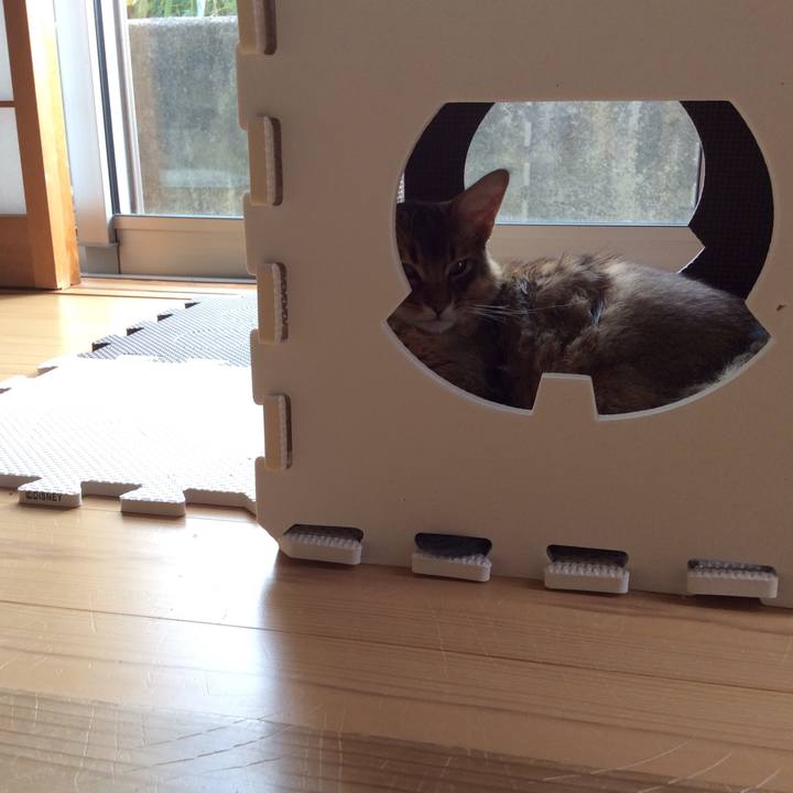 3fa6a2a6 b441 4034 bfa5 b41397ea6132 1575018558794