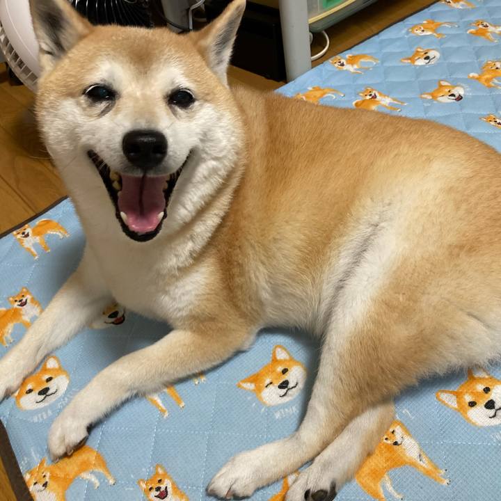 3fa6bfb1 49ee 4892 91f4 a64dad60a4a2 1627722552013