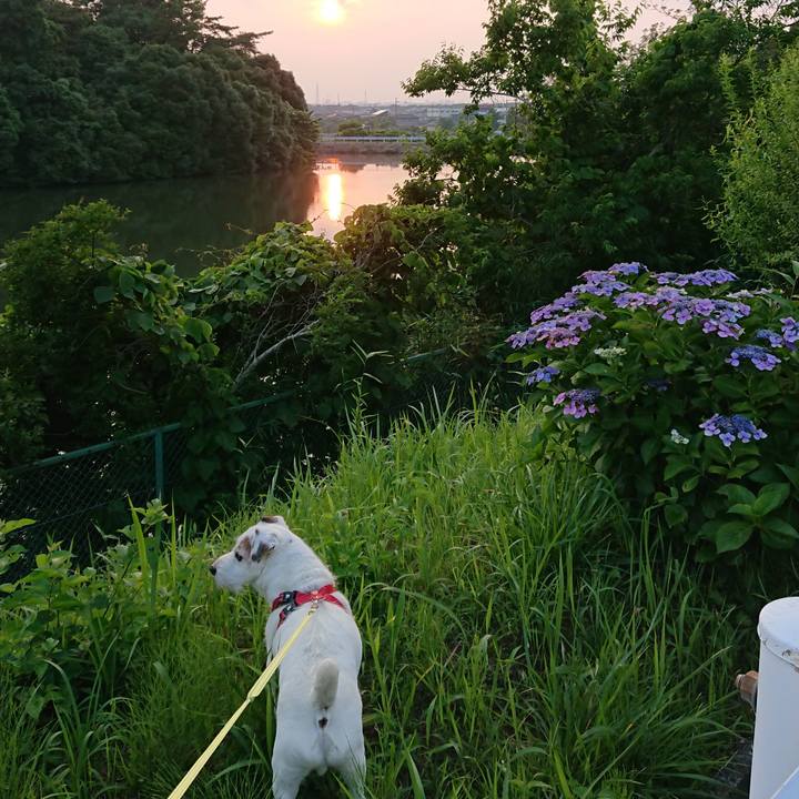 3fa6e517 b66f 4a73 a4ec 446bfe854f4e 1560987189482