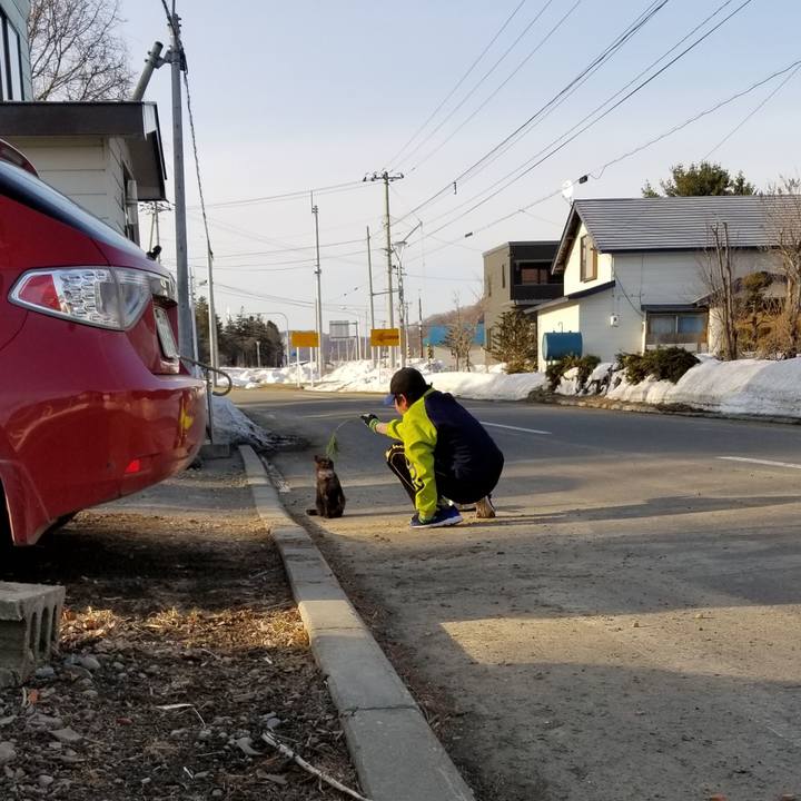 3fa6eec5 c732 4b44 9dfe 18eb95196338 1585654979137