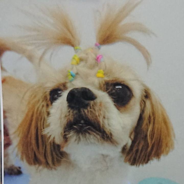 3fa700be b33d 4035 a1e7 427e08cbedbd 1564493751080