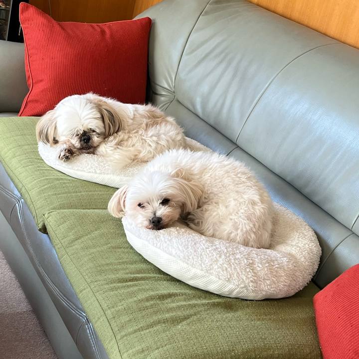 3fa711c5 be6d 4d36 8b31 0a896535ae85 1698021977207