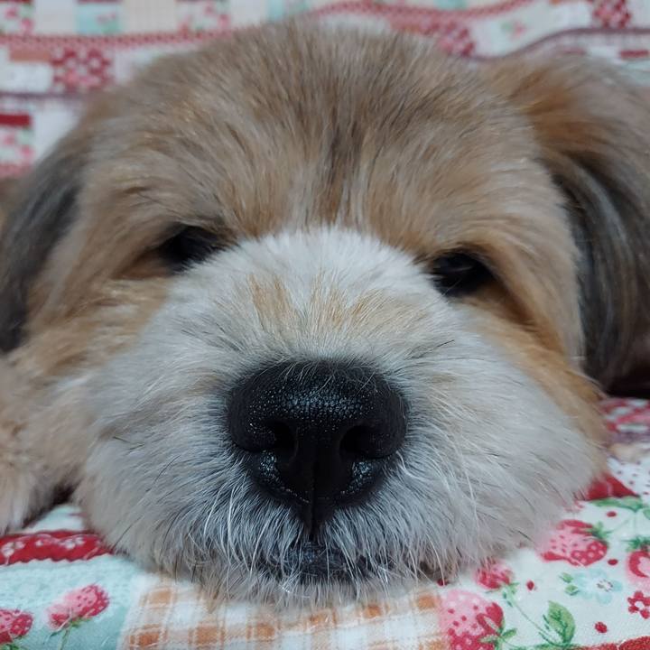 3fa743f5 0b2f 42ef 8980 693a7db7a088 1657370408256