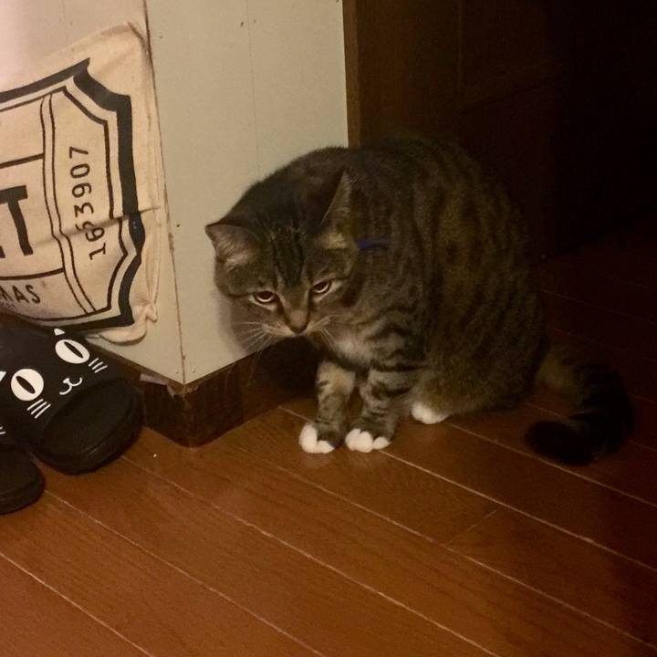 3fa7aad7 cc51 4b43 a4ab 148646d7aef1 1559322316510