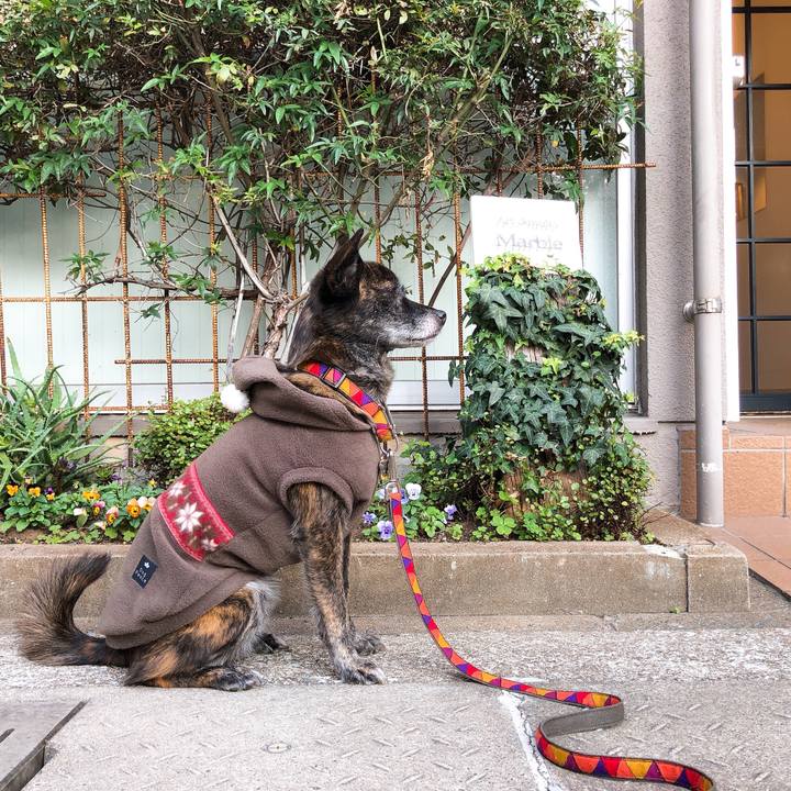 3fa7b8a2 333f 4d5c 8c12 0fecfde436ac 1575813502737