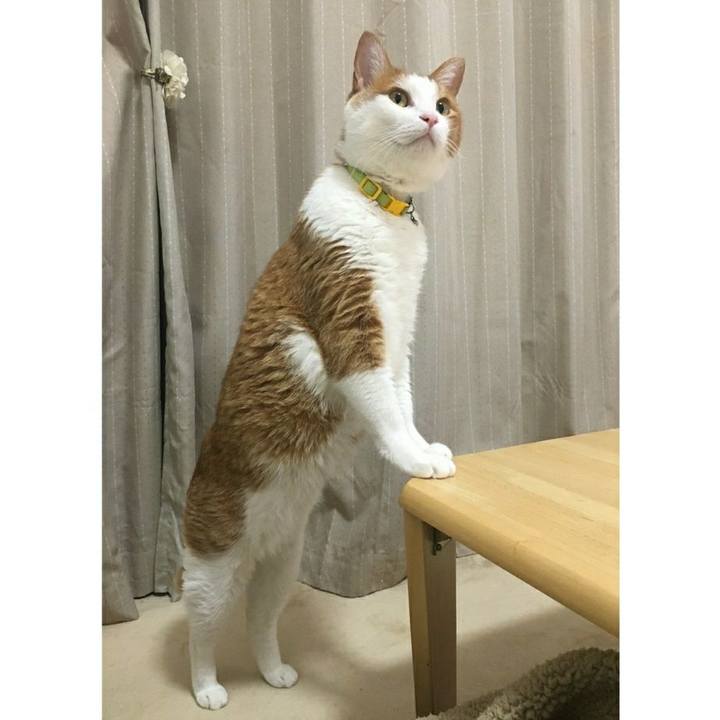 3fa7de25 4d78 45af b7d6 1d38eef1b355 1544014151804