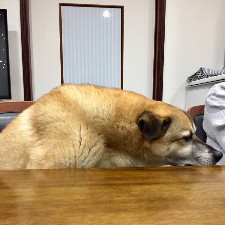 3fa811d3 ceb0 4d7a bfe4 acc944fe68b0 1527762933917