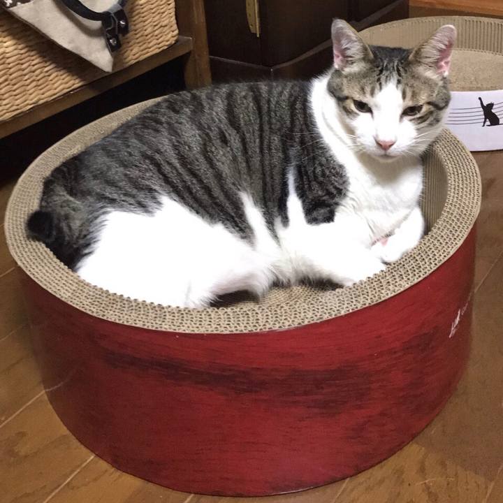 3fa82ac5 7a0a 46b8 a520 f3181543053c 1594729653517