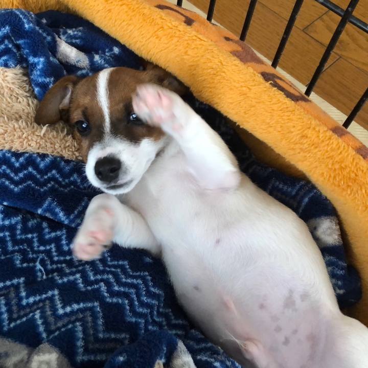 3fa8659c 13ee 4730 a353 fff2ac9f3962 1512346597499