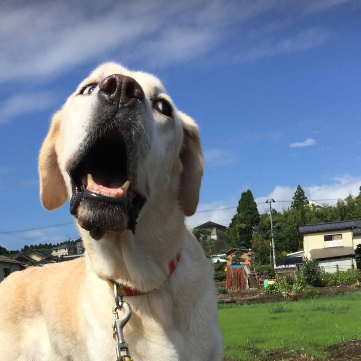 3fa88987 34fa 43ee 9717 52555717be13 1536113200120