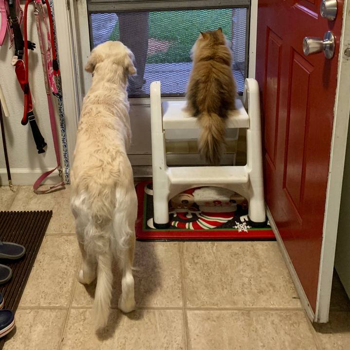 3fa893d6 6004 4fce 889c 4d29d8d249fc 1568254591083