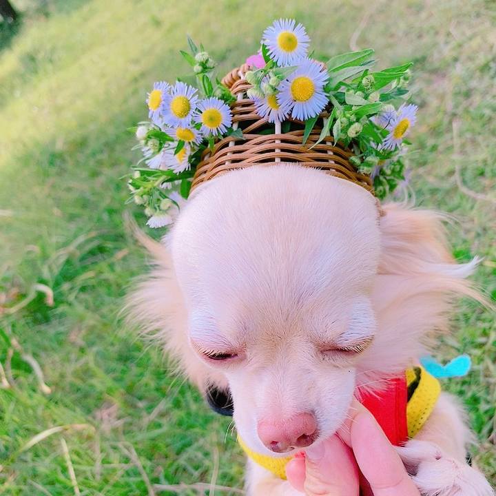 3fa897c6 70ac 4a51 b012 91590a4f7072 1621946057699