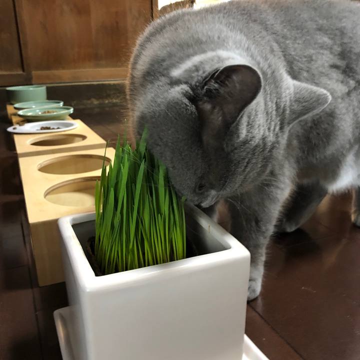 3fa898b0 4164 4349 b14d 26d82182428b 1556492814847