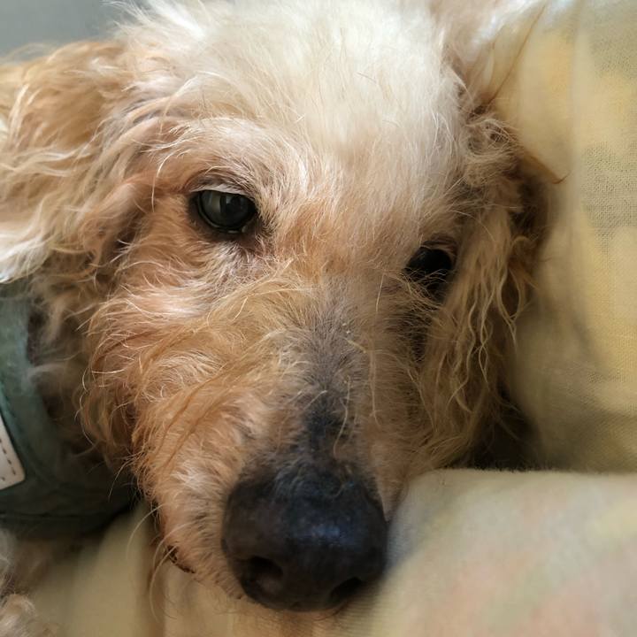 3fa8c86f 4188 46a7 9917 1d769872d1cf 1727058779543