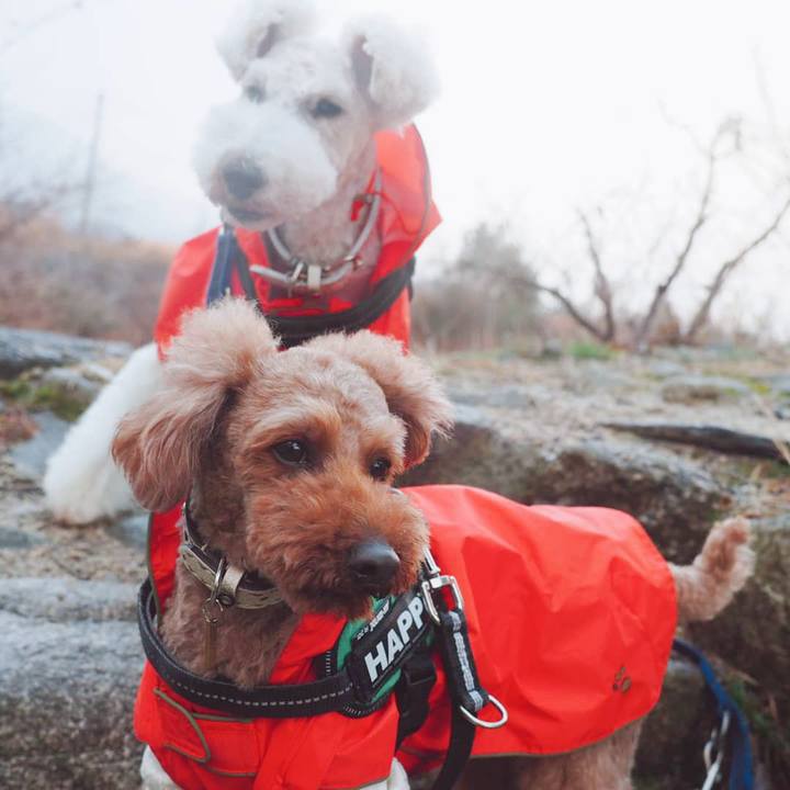 3fa90a61 686b 4d3f 97f1 dd0d7dc7fafe 1548081737093