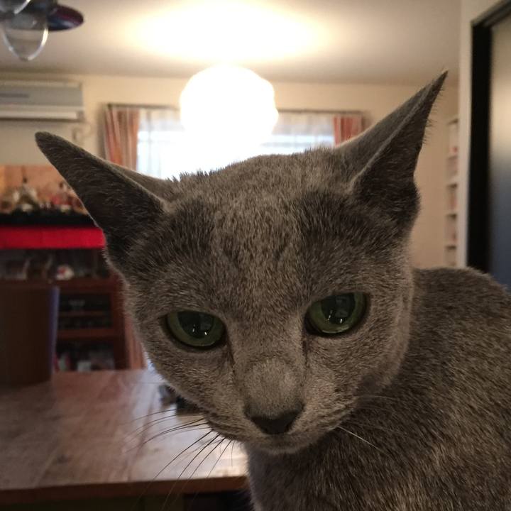 3fa92027 1112 45a4 a07e 853169a0cb5c 1551341033423