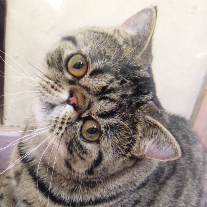 3fa9387e a121 4ed2 8d17 65c439d471ed 1531357282558