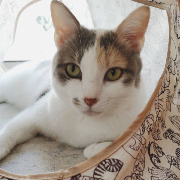 3fa952e8 274f 42cd bdec 3361ca9d0f01 1566139507362