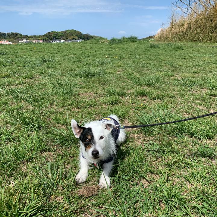 3fa96132 b802 49f7 8768 262972fd18af 1713228130691