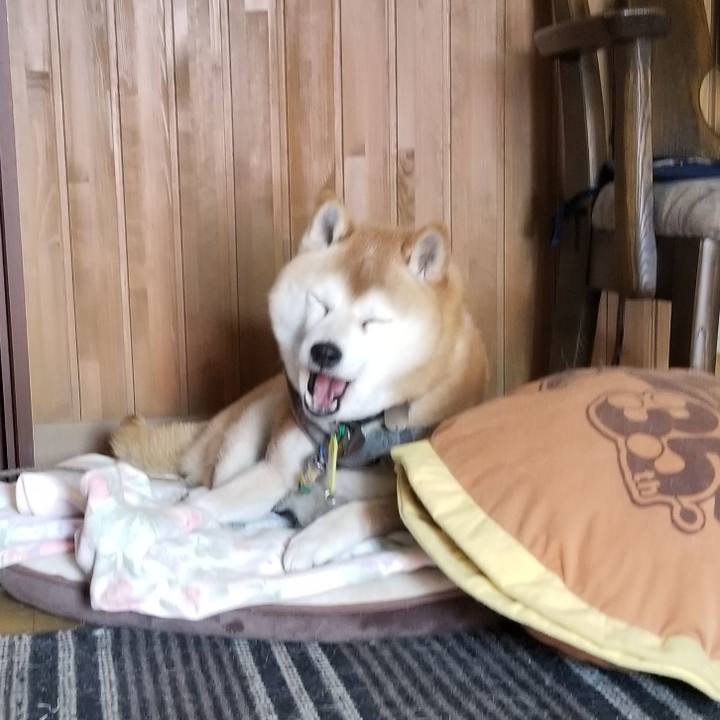 3fa9793d dbf0 4b32 a65d 480e2752ee53 1650167423227