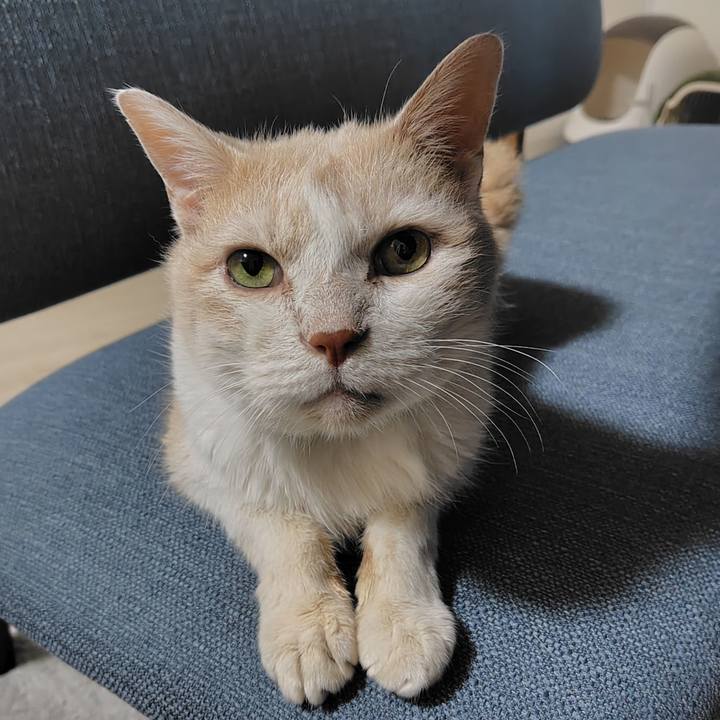 3fa99b0e 9b81 4096 8529 60d0baedfa4a 1728036817671