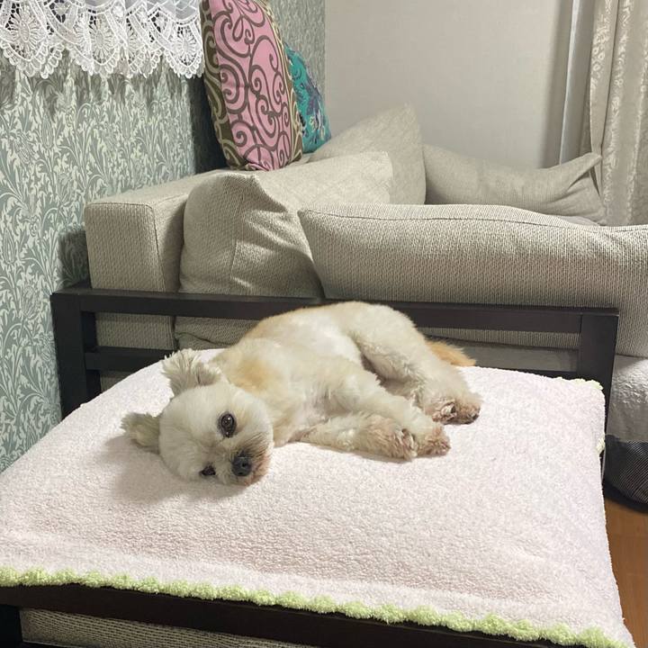 3fa9b473 cb8b 4d0e b523 beae8fc4e72b 1689399433235