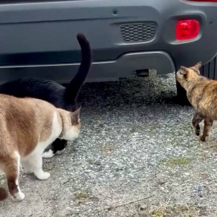 3fa9b765 d0f5 4264 890d 68151c4707fd 1773649651506