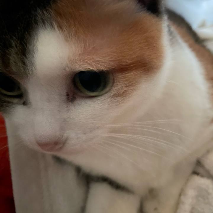 3faa2485 582a 4a67 ba89 4662116fe87f 1686262248837