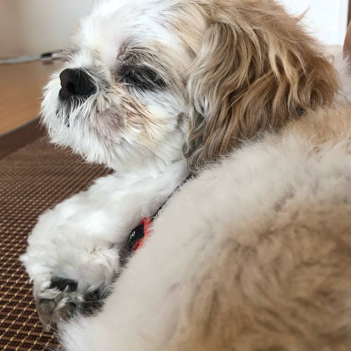 3faa2ad5 5a00 4ff5 a762 d5b24eff0df6 1566769122642