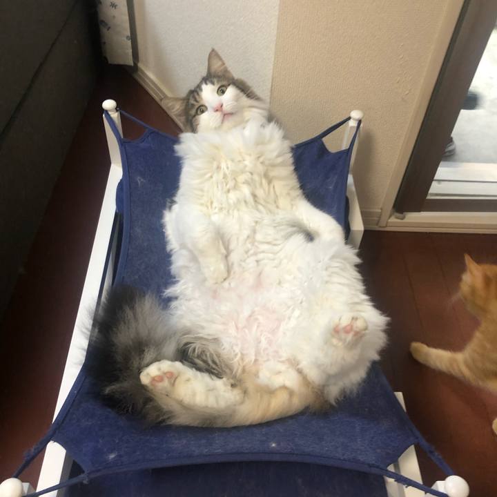 3faa4bd3 36e6 491a b2fb e5f405514d6a 1570369336667