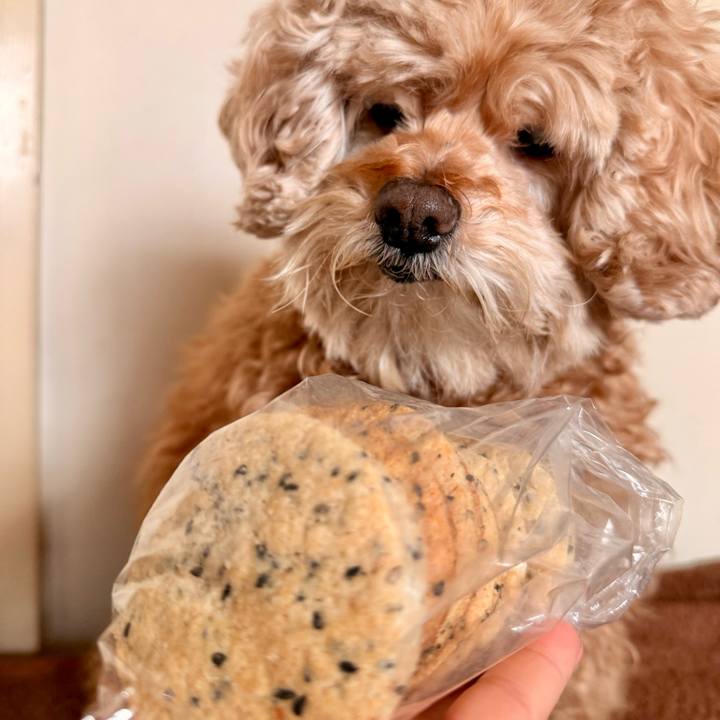 3faa6a11 6642 4aae b423 25f3a59e0081 1770019303708