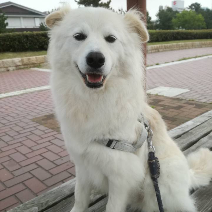 3faa8a0c eb31 4e8b a00b 626f820fb1eb 1526537289023