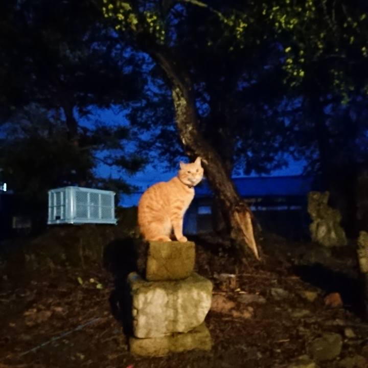 3faab253 73c0 4445 8a07 0dcc8c6806d1 1662630830566