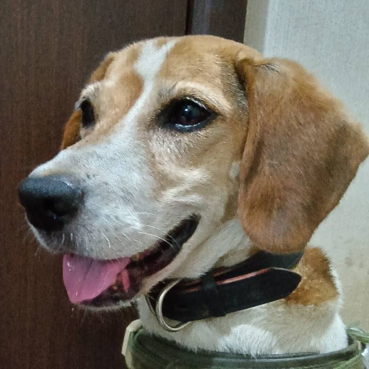 3faae0c2 7ad8 4bbf ba25 051c643e0ff1 1732187781552