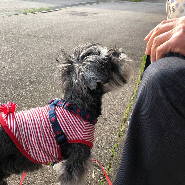 3fab24af 7f2b 4da2 99ad c34f10243085 1619262211675