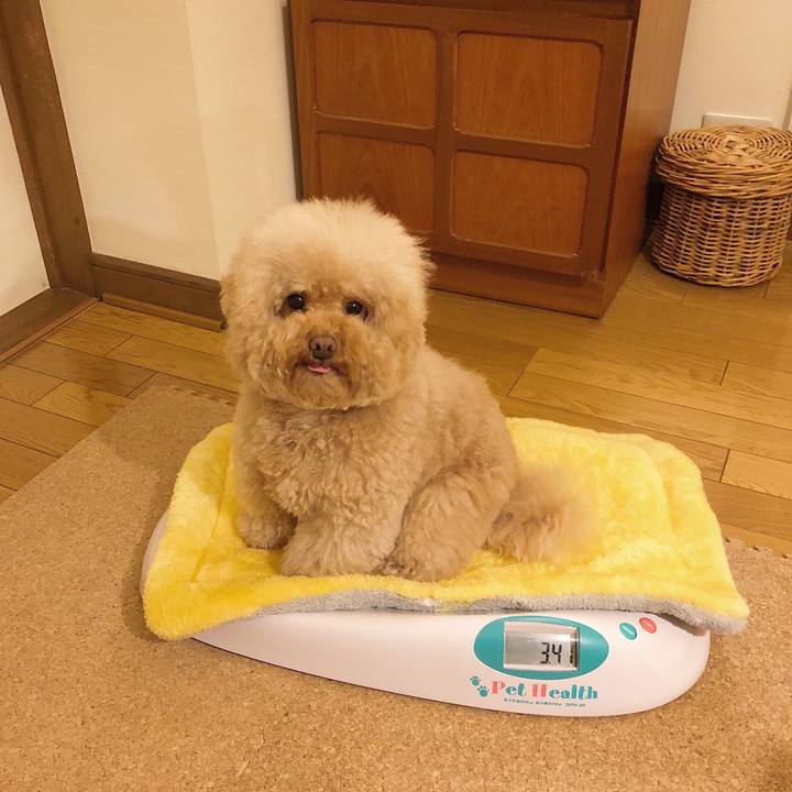 3fab252d 2abc 4a6a 96b9 486d54ceb212 1516093434104