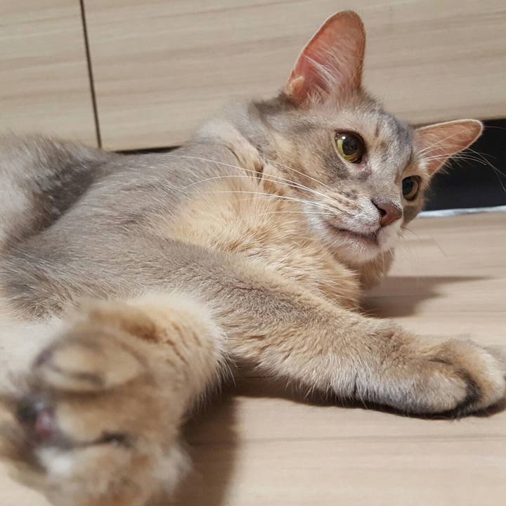 3fab59d6 5f91 41da b285 2b2532d7fb05 1568469154397