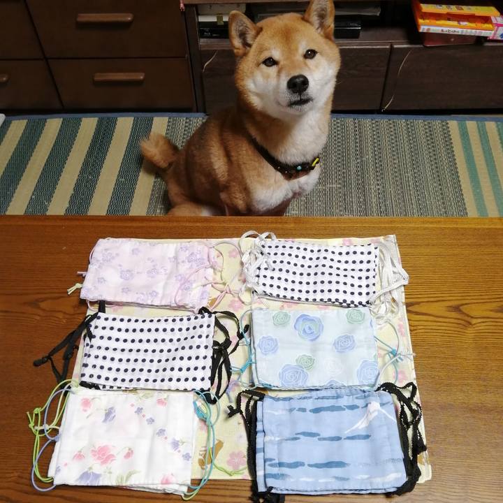 3fab67d7 5678 4cb3 b0e9 75c1a60ac732 1582810471765