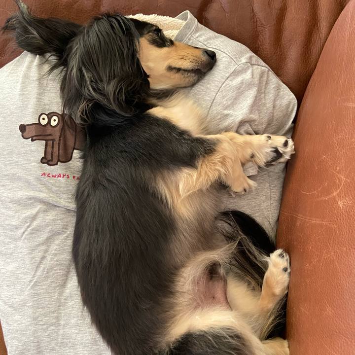 3fab8173 b691 4072 b995 3d45a47431b1 1747790258682