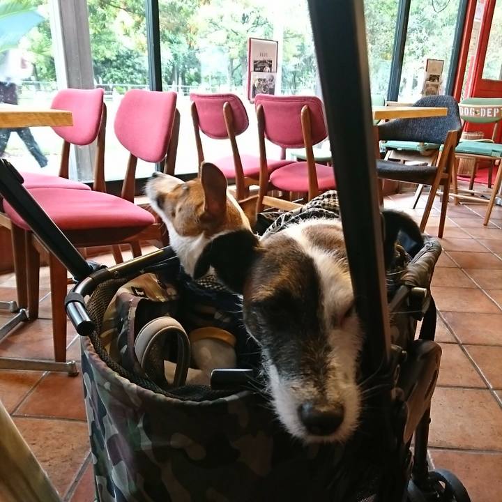 3fabbda5 89f1 47fa bf50 675e7a7a6f6f 1527053635423